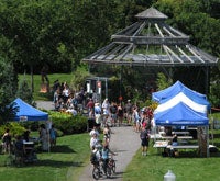 Butterfly House - Festival