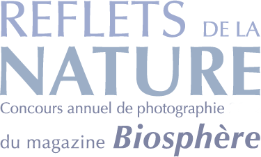 Reflections of Nature photo contest logo fr