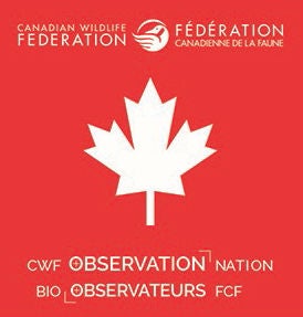 kids exploring nature