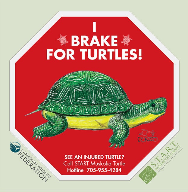 brake for turtles sign