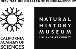 california academy of sciences logo