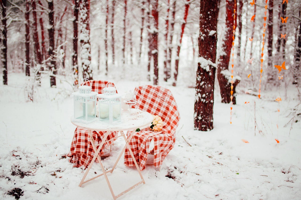 winter picnic