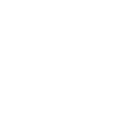 evolution icon white