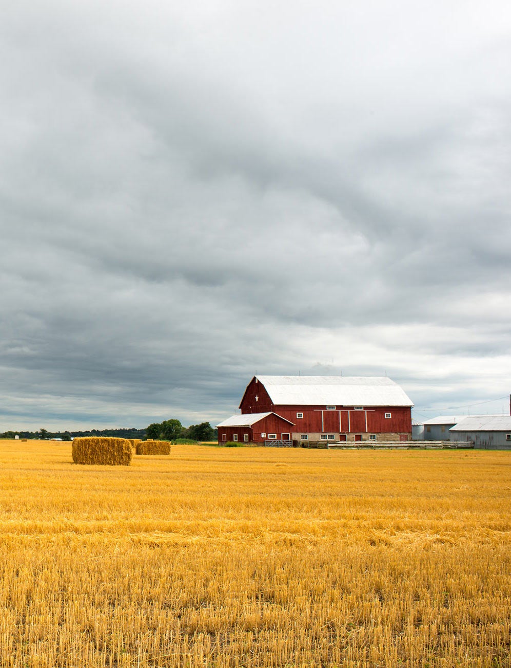 barn on farm