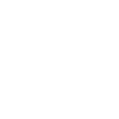 news icon