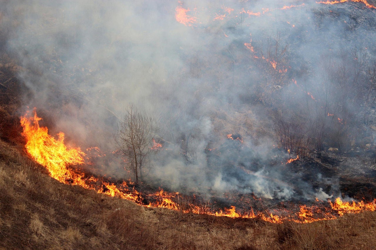grassland fire