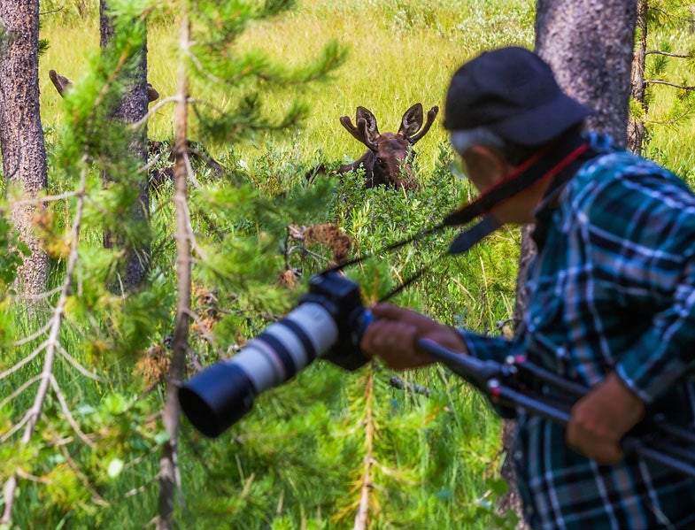 advanced gardening tools