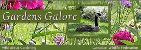 Gardens Galore Header