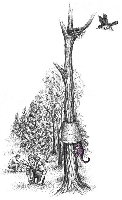 Illustration of a way to stop cats getting to bird feeders