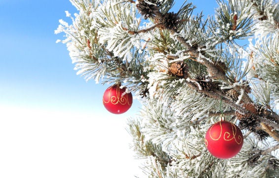 Pine needles covered in frost and decorated with christmas balls