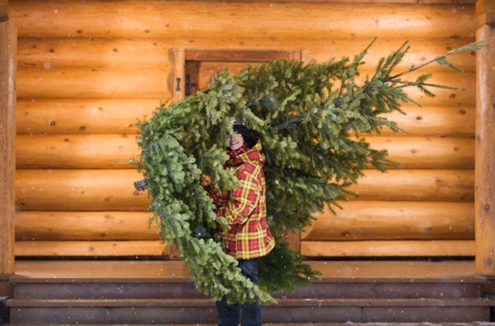 Child with a christmas tree