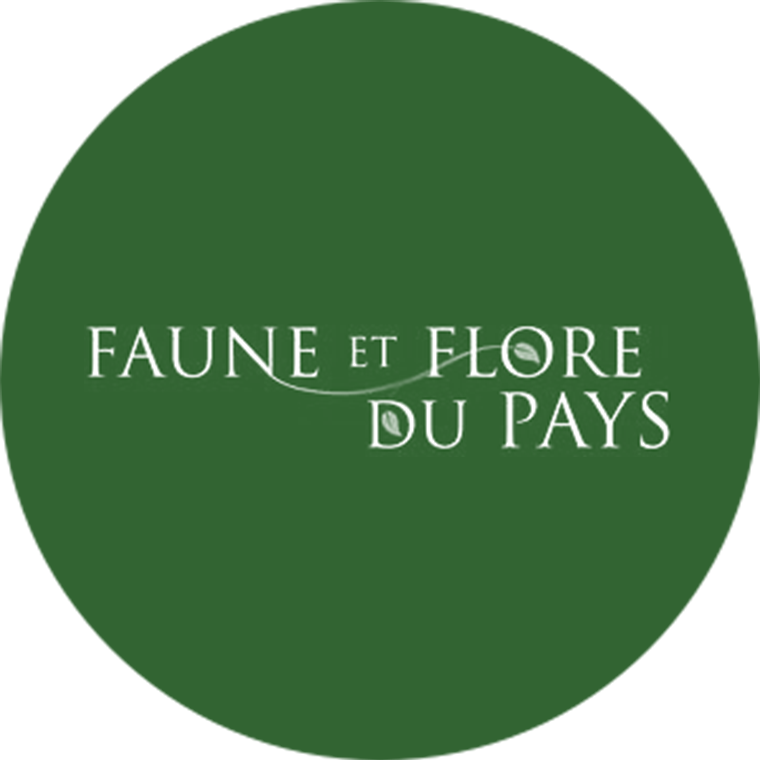 hinterland who's who's logo