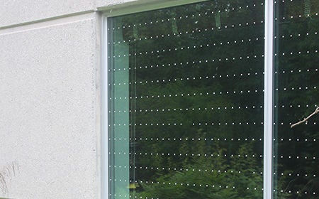 dots on window to help bird collisions