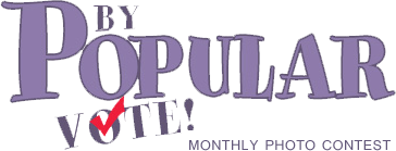 By Popular Vote! logo