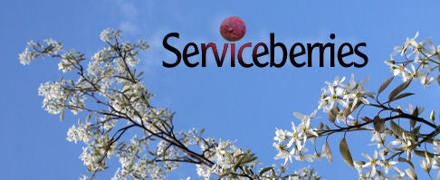 Serviceberry 