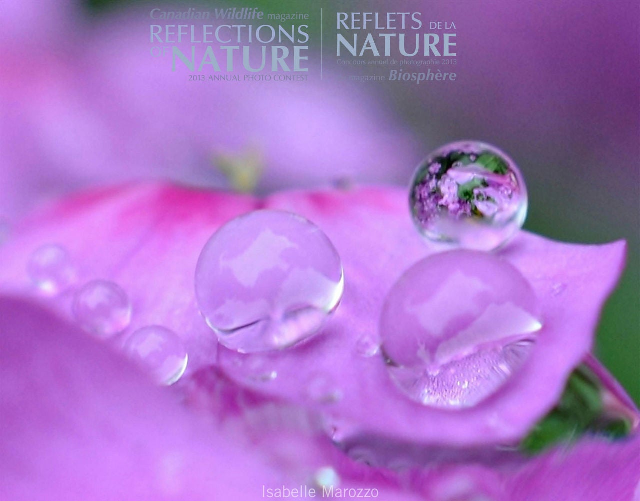 Amateur | Flora | Concours amateur | Flore