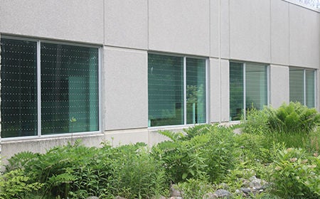 row of windows with dots to help bird collisions