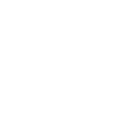 bee icon