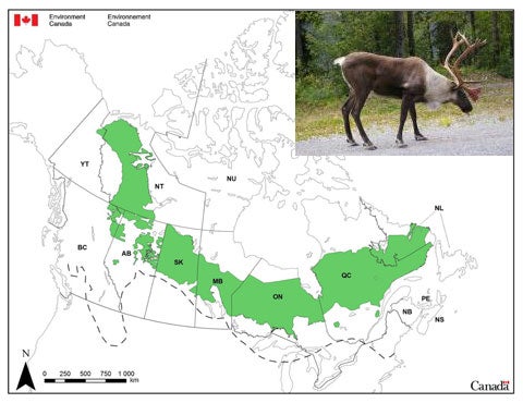 Caribou and habitat map