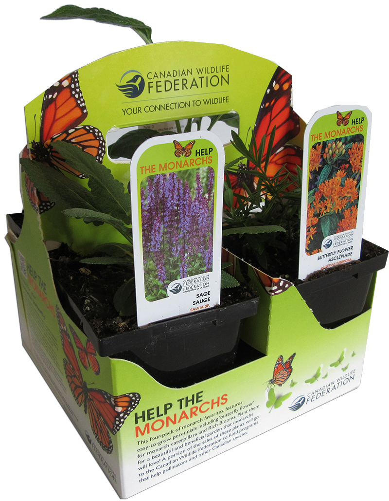 monarch plant pack