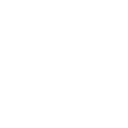 fish icon
