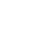 turtle icon
