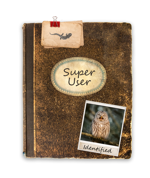 super user