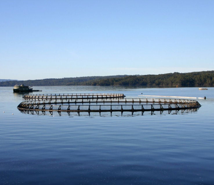 aquaculture water