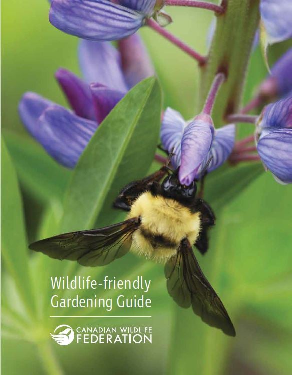 gardening guide cover bee on purple flower