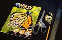 Bow making tools - magazine, scissors, ruler