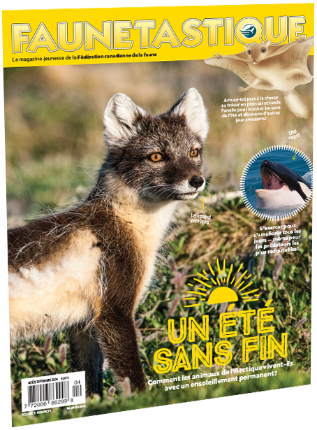 magazine fauntastique