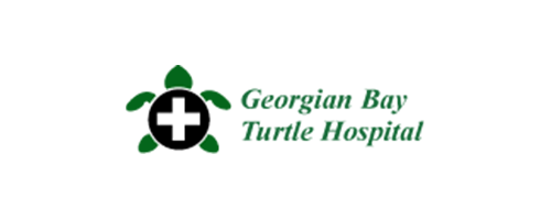 turtle hospital logo