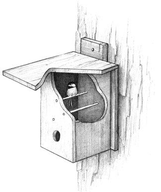 Diagram of a bird roost