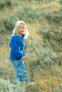  Can’t See the Forest for the TVs