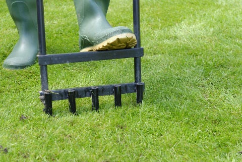 Person aerating their lawn