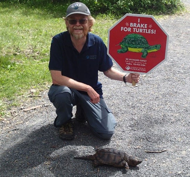 turtle sign