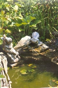 Garden Transformation 4