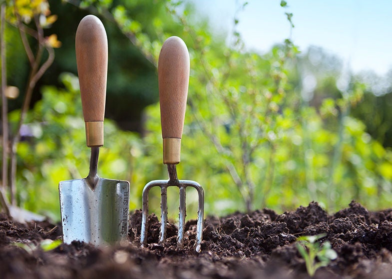 gardening tools
