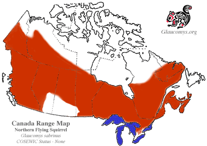 Flying squirrel map