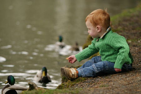 Child on water edge watching ducks