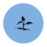 Wildflower identification icon