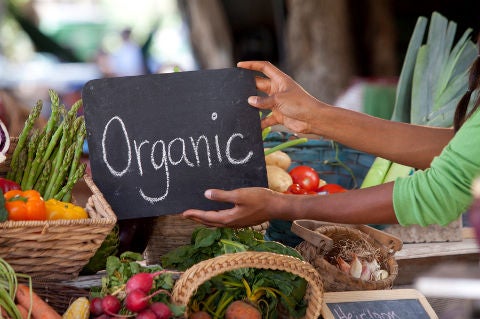 discover the benefits of organic gardening