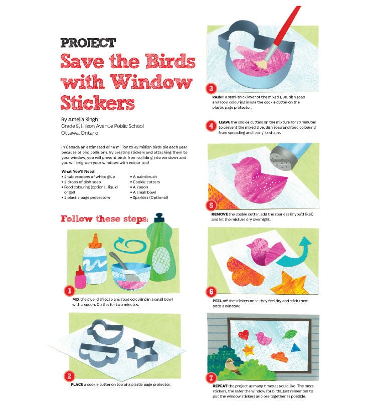 save the birds project PDF