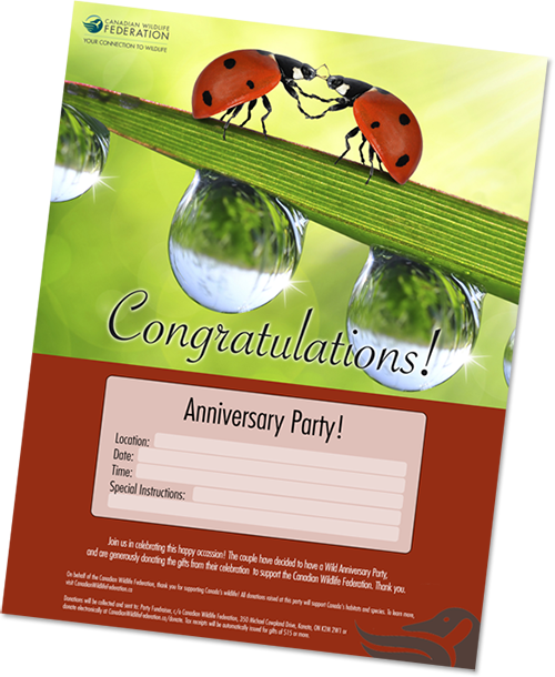 Ladybug anniversary poster