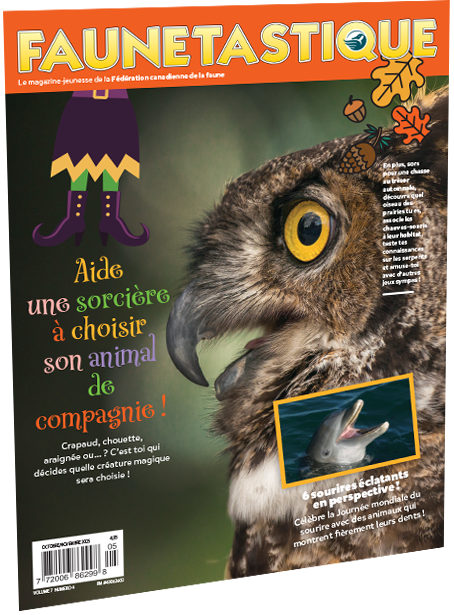 couverture faunetastique