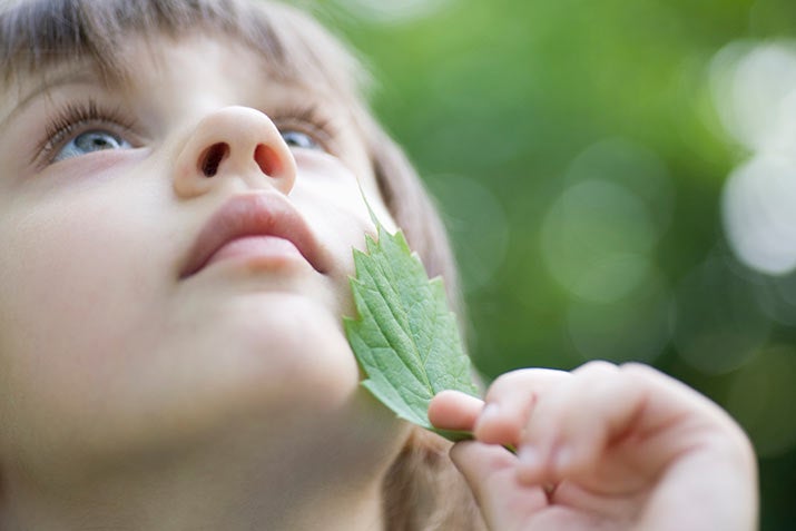 Child with leaf