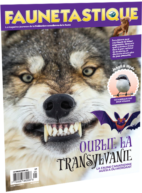 couverture faunetastique