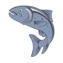 Fish icon