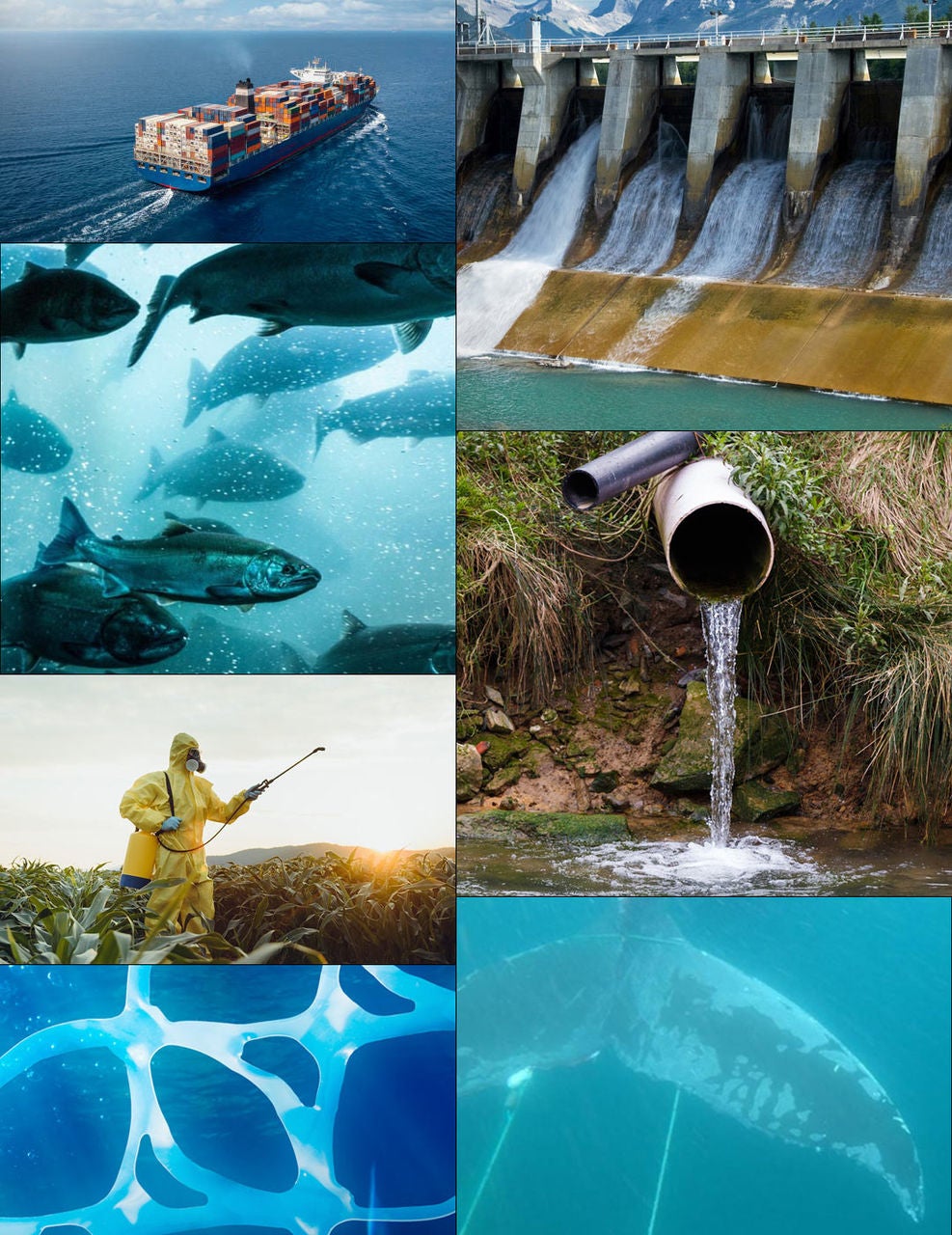 issues facing our waterways