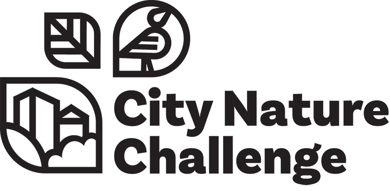 City Nature Challege Canada